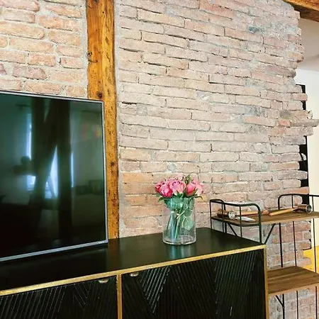 Wunderschone Altbau Mit Dachterrasse *