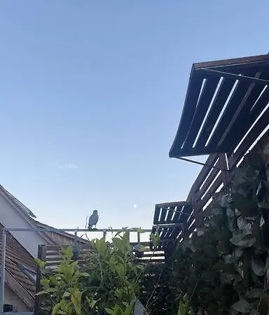 アパート Wunderschone Altbau Mit Dachterrasse *