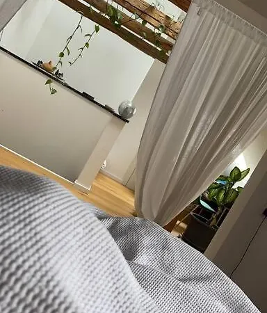 Wunderschone Altbau Mit Dachterrasse